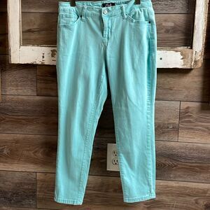 Earl Jeans Skinny Ankle Jeans , Petite Ladies Size 12P, Aqua